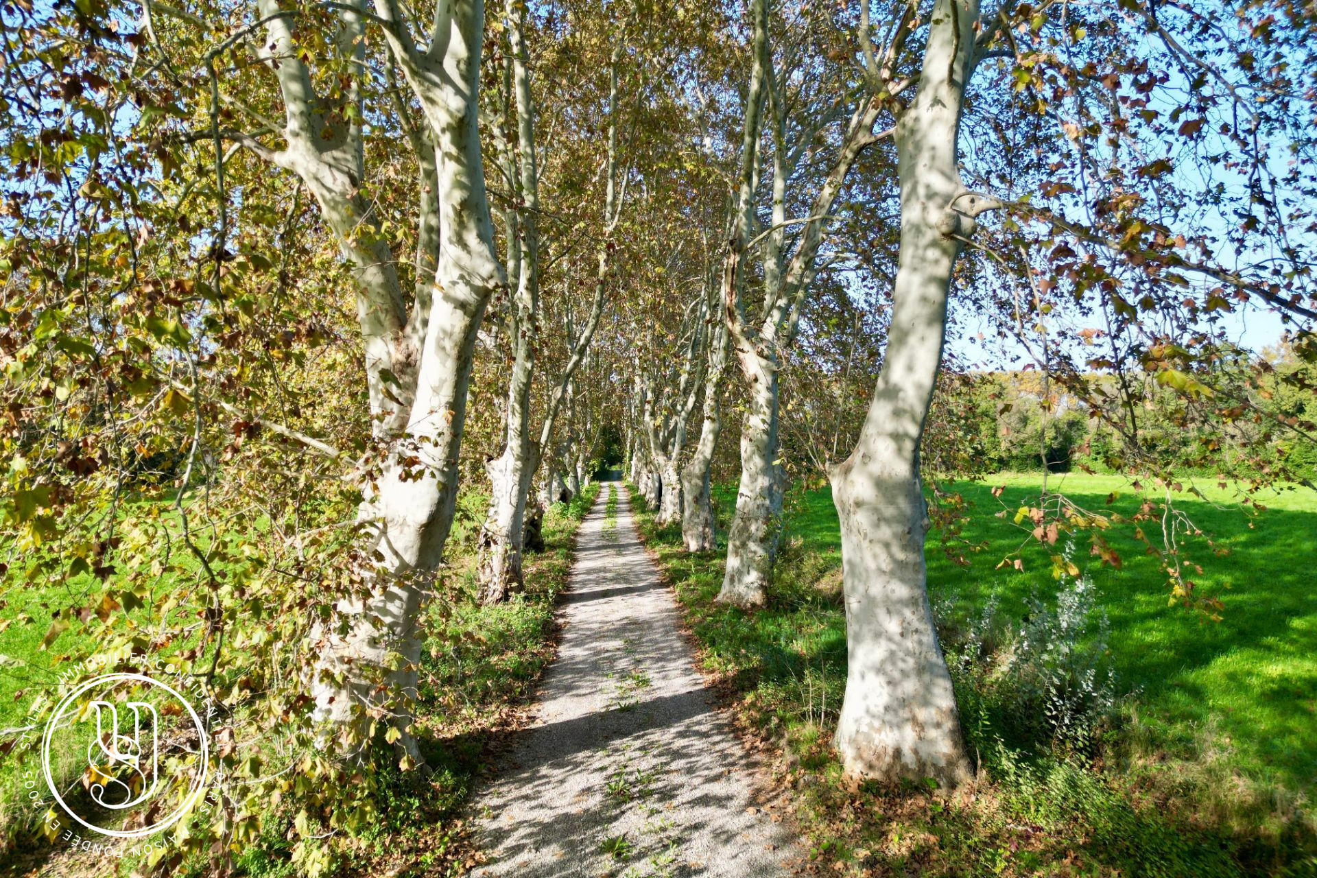 Mouriès - proche, une élégante à restaurer - image 9